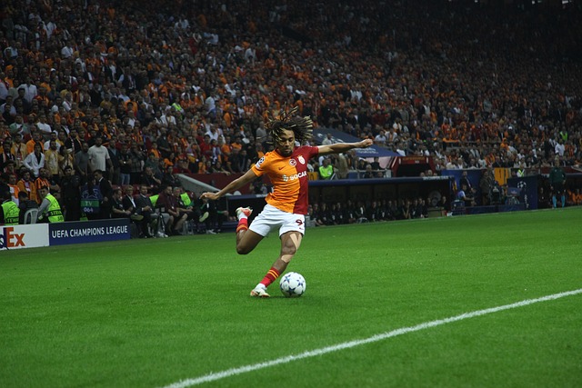 三双数据的 三双数据的