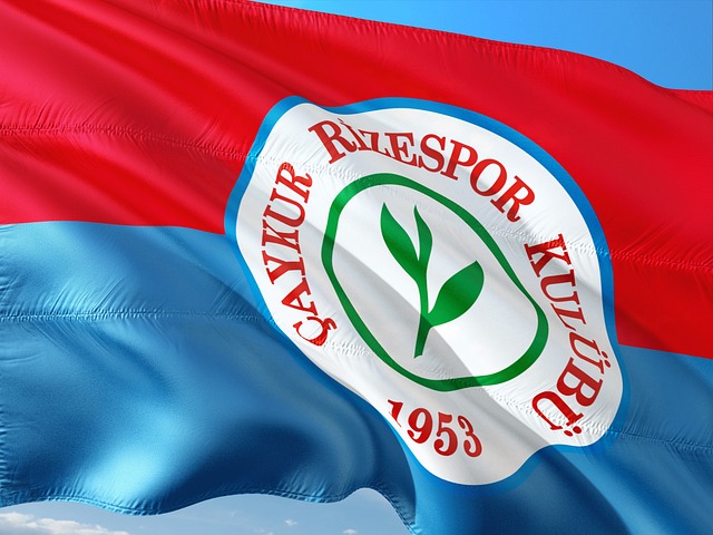 兩人都希望 兩人都希望