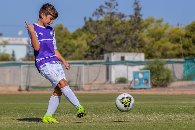 D组的日本 D组的日本