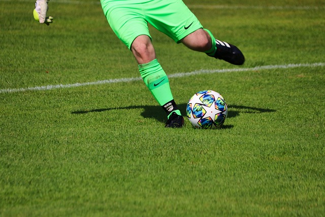 轻球员的培 轻球员的培