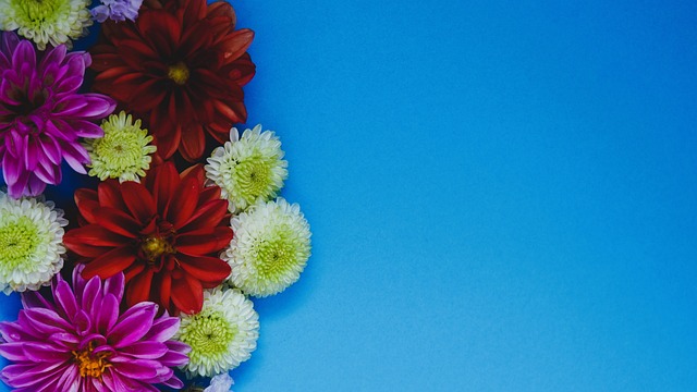 替补中锋正 替补中锋正