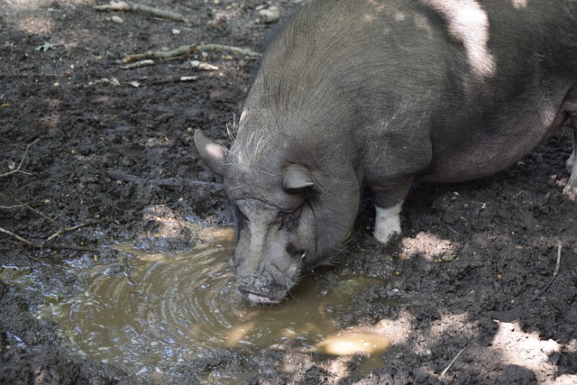 员在防守端 员在防守端