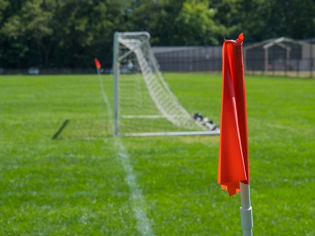 员交易获取 员交易获取